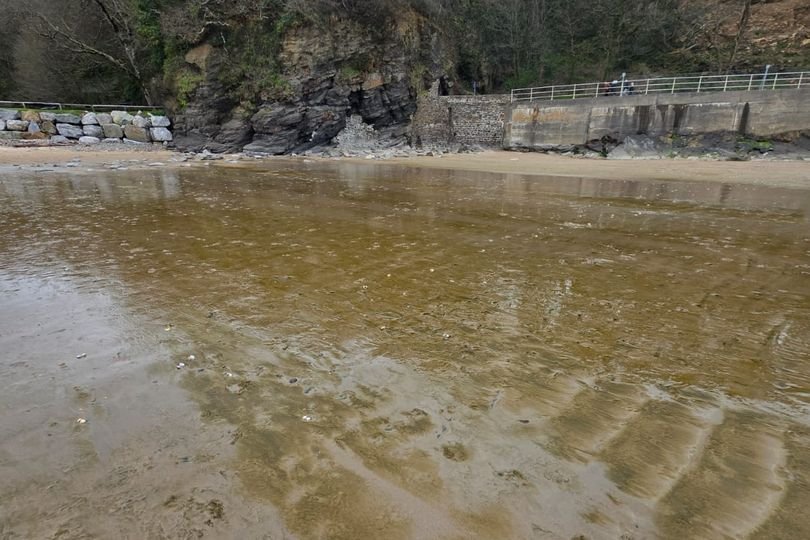 Aerial view of Welsh beach overrun with thick brown sludge, with seaweed and debris scattered across the shoreline, as the Easter holidays approach and the environmental impact is assessed