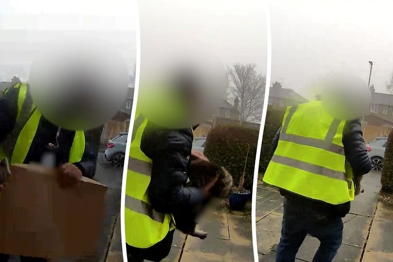 A photo of a cat sitting next to a package, with a concerned expression, highlighting the importance of animal safety during delivery, with the primary keyword 'cat theft' naturally included