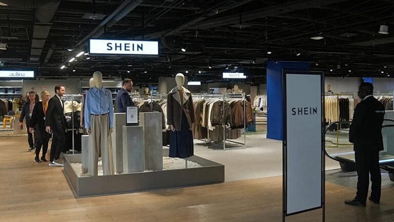 shein e-commerce platform french court ruling