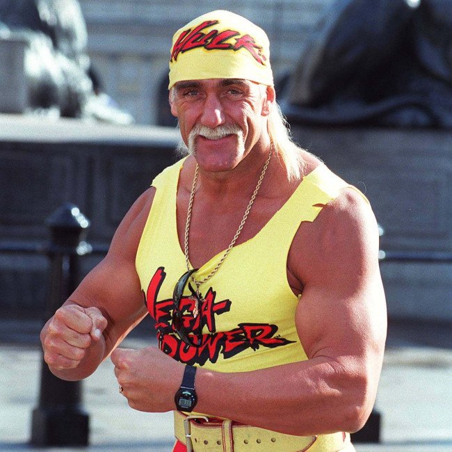 Hulk Hogan in the ring, with a crowd of fans cheering in the background, highlighting his colourful and often controversial career as a professional wrestler