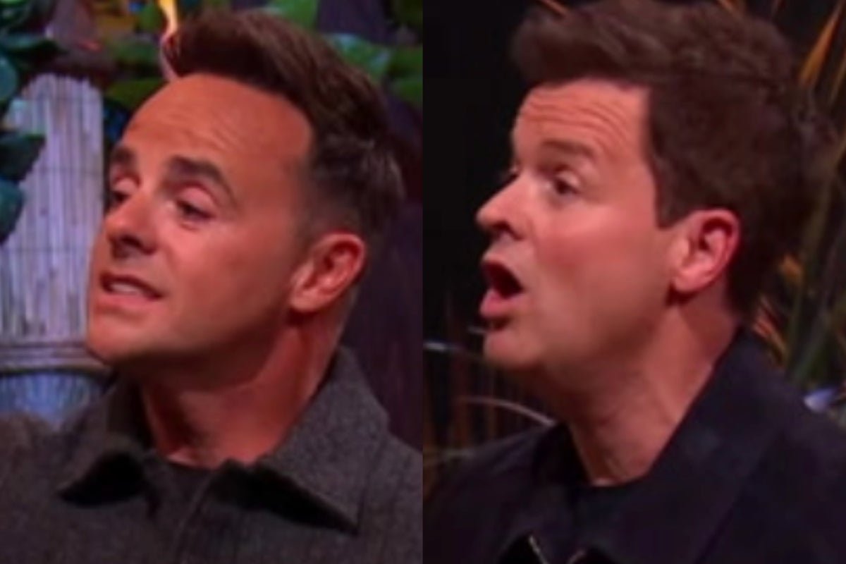 Ant and Dec standing in the I'm A Celeb jungle, surrounded by cameras and crew, with a glimpse of the car park where the drama unfolded, featuring Jimmy Bullard and David Haye in the background, highlighting the excitement and unpredictability of the show