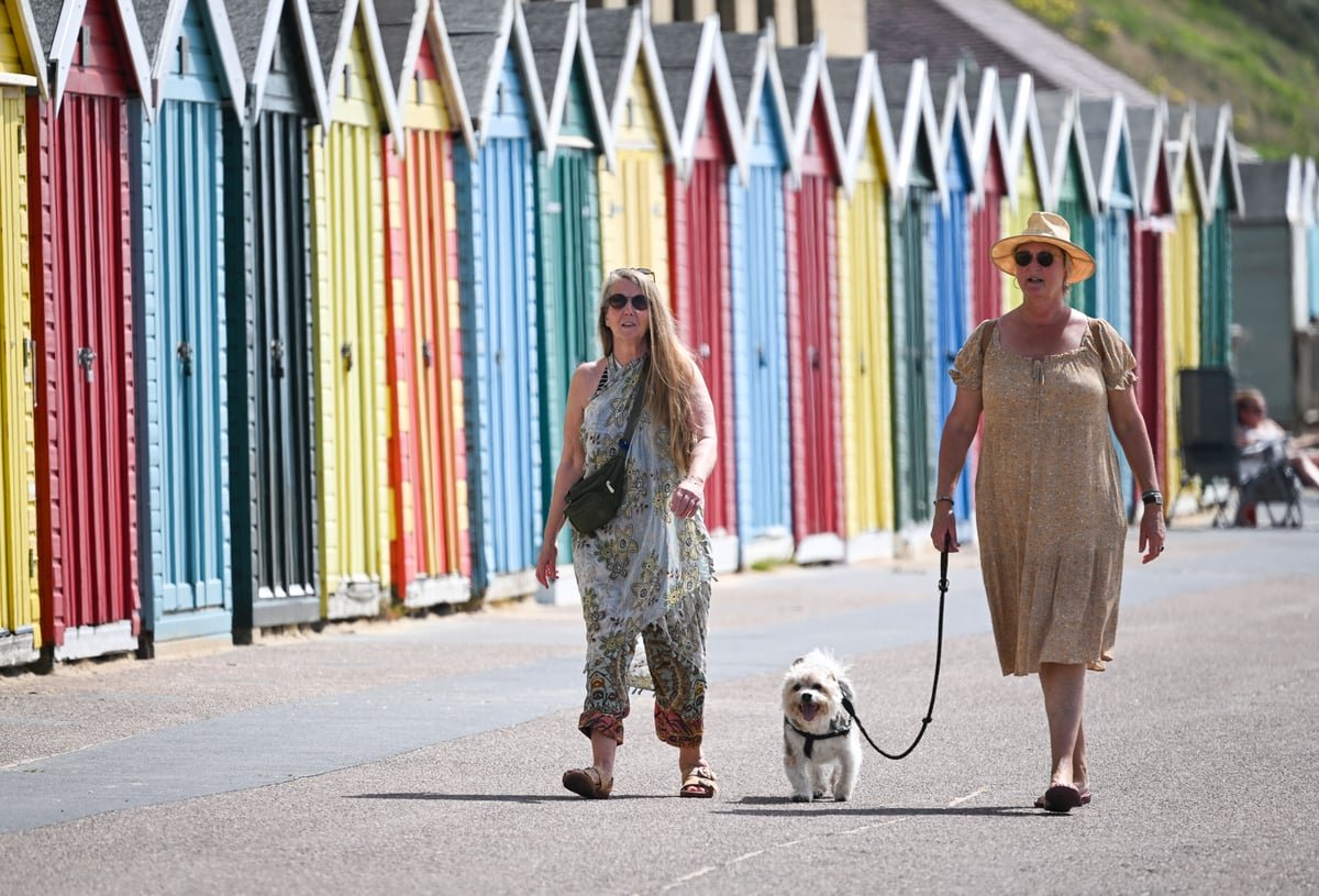 A dog walking on a shaded path with its owner, with a description of the primary keyword 'dog walking' in the context of a heatwave