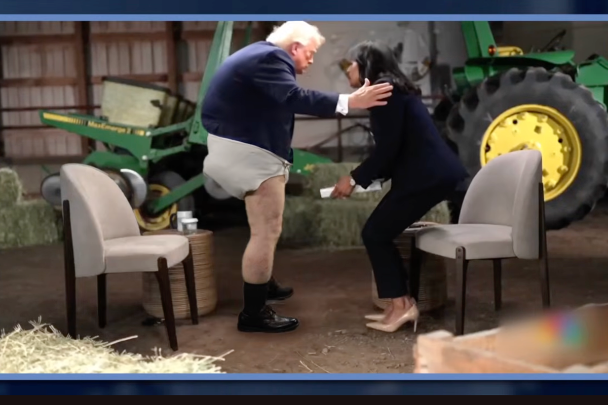Jimmy Kimmel shares image of Donald Trump storming out of interview, wearing a diaper, with a red face, sparking reactions on social media, with the image being a symbol of Trump's behaviour