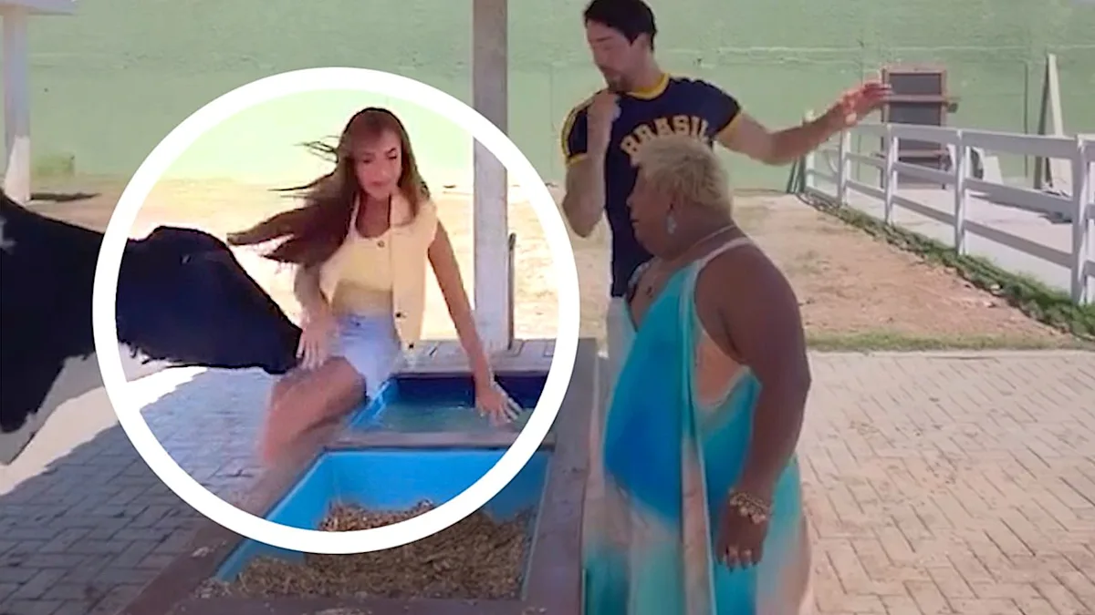 A dramatic scene of a TV presenter being headbutted by a cow, with the presenter falling into the water, highlighting the unpredictable nature of animal behaviour on farms