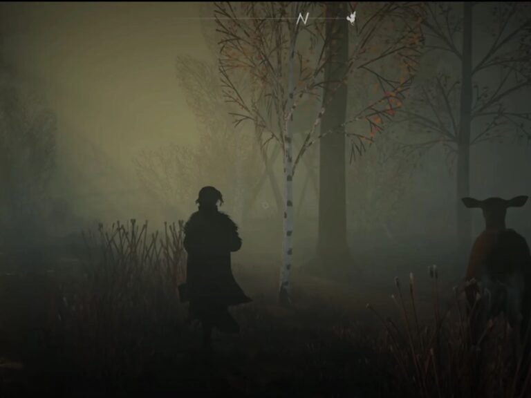 Witch in a dark forest