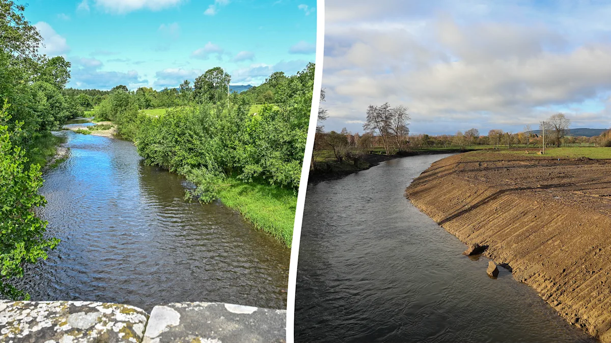 A beautiful landscape with lush green trees, vibrant flowers, and a variety of wildlife, showcasing the return of nature to a once-destroyed beauty spot, with a focus on conservation and environmentalism