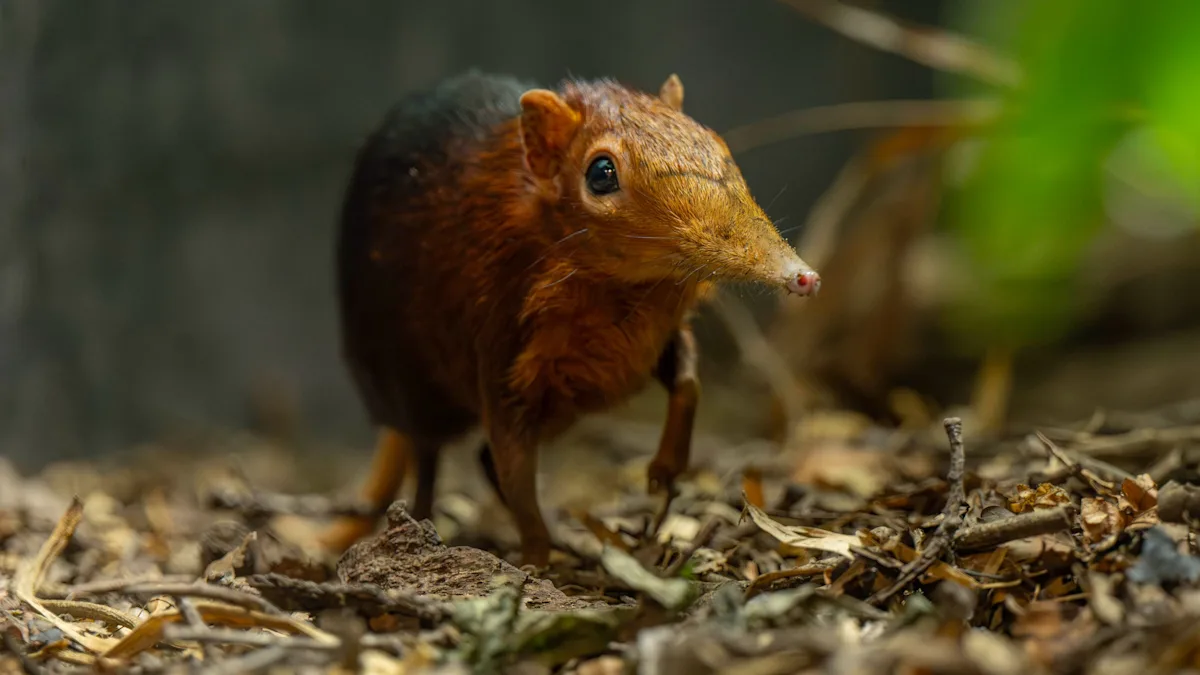Adorable twin baby elephant shrews born at UK zoo, a historic moment for conservation, featuring the tiny creatures in their enclosure, surrounded by zoo staff and visitors, highlighting the importance of conservation and animal care, with a focus on the elephant shrews' behaviour and colour